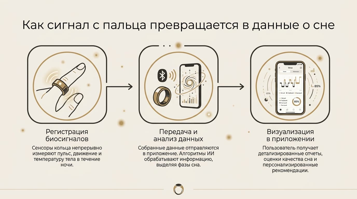 Умное кольцо Oura Ring: что это такое и как оно вообще что-то измеряет — фото 3