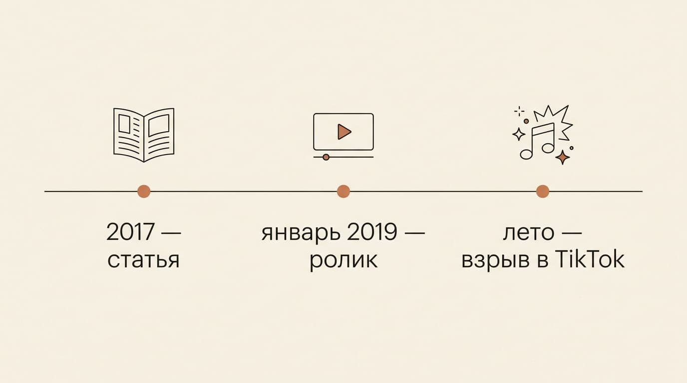 Что такое VSCO в Тик Токе: откуда взялась эта «эстетика» и при чём тут фотоприложение — фото 1