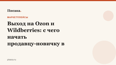 Выход на Ozon и Wildberries: с чего начать продавцу-новичку в 2025