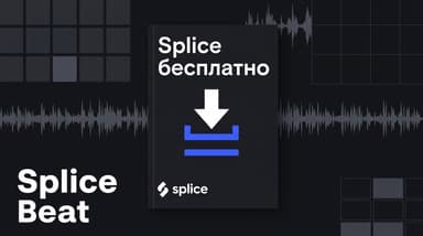 Splice без подписки: как брать сэмплы бесплатно и легально