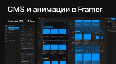 Как настроить CMS и анимации в Framer: от коллекции до плавного скролла